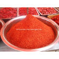 New crop dried red chilli powder